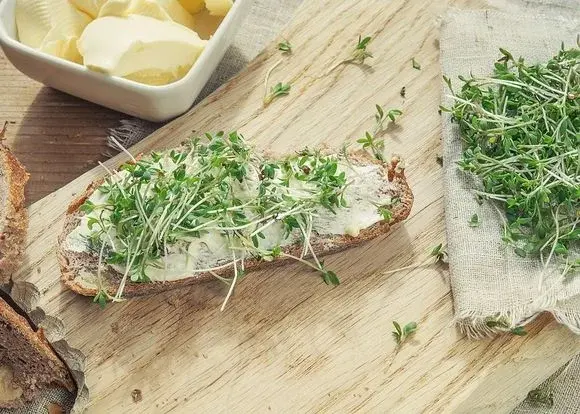 6 ważnych powodów, dla których warto jeść rzeżuchę