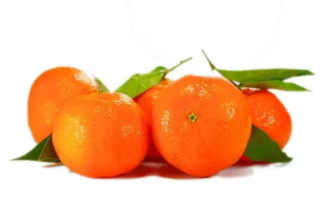 Szybki przepis na oryginalną marokańską sałatkę z pomarańczy