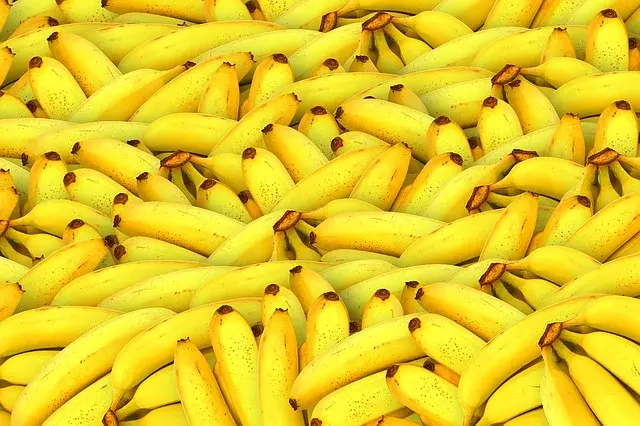 Jak przechowywać banany, by dłużej zachowały świeżość?
