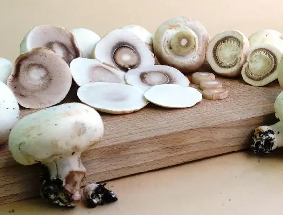 Przepis na pyszną i prostą sałatkę z pieczarkami