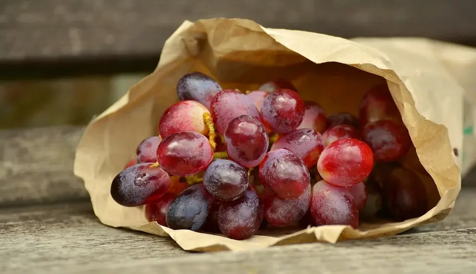 Przepis na przepyszny krem z winogron, który robi wrażenie!