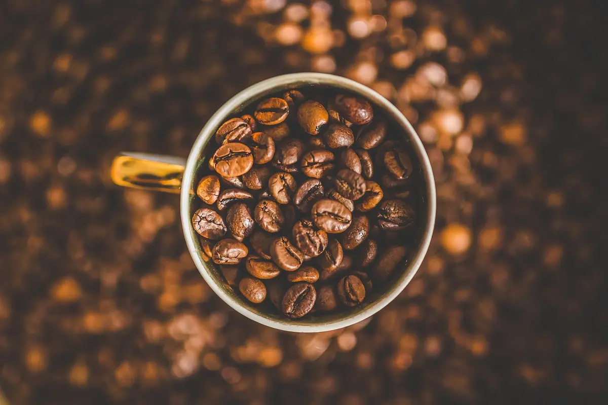Nie wyrzucaj fusów z kawy – sprawdź, jak możesz je wykorzystać!