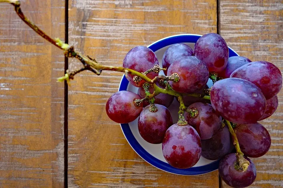 Przepis na pyszny deser winogronowy