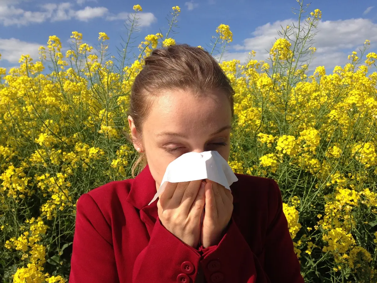 Główne zdjęcie - Jak walczyć z alergią?
