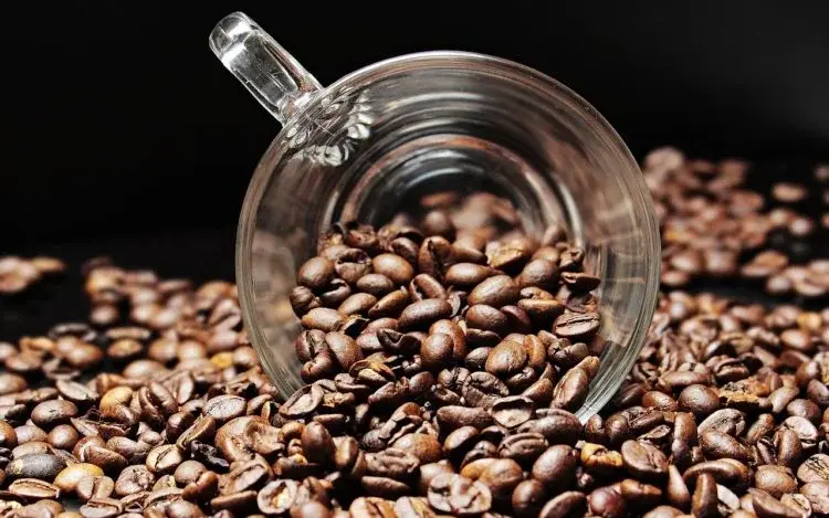 Poranna kawa - czy picie kawy na czczo jest szkodliwe?