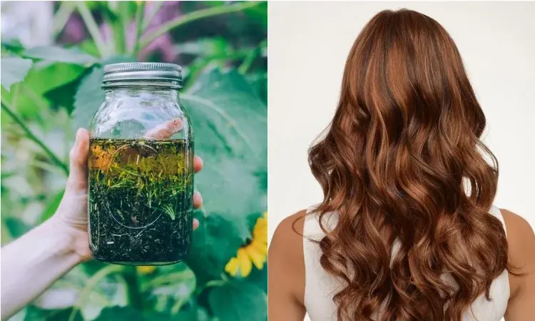 Problem z wypadaniem włosów - jak wzmocnić cebulki włosów?