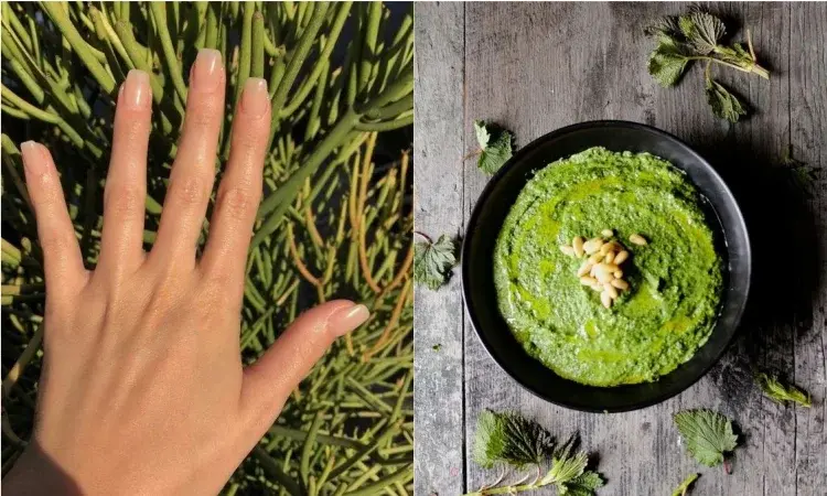 Główne zdjęcie - Dieta na piękne i mocne paznokcie - co jeść, aby paznokcie się nie łamały?