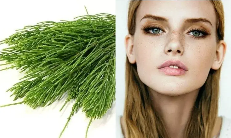 Skrzyp polny - naturalna recepta na lśniące włosy, zdrowe paznokcie i piękną skórę
