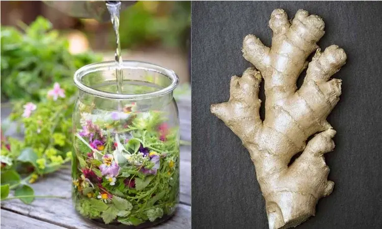 Domowe sposoby na niestrawność - skuteczne leczenie niestrawności