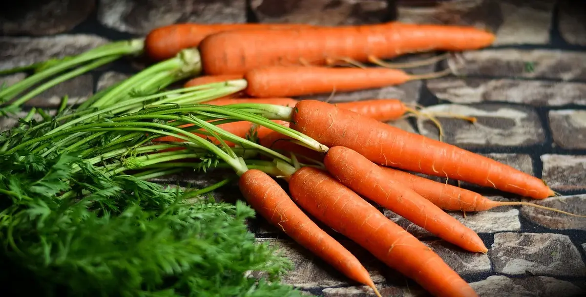 Główne zdjęcie - Dieta marchewkowa - na czym polega? Zasady i efekty diety marchewkowej