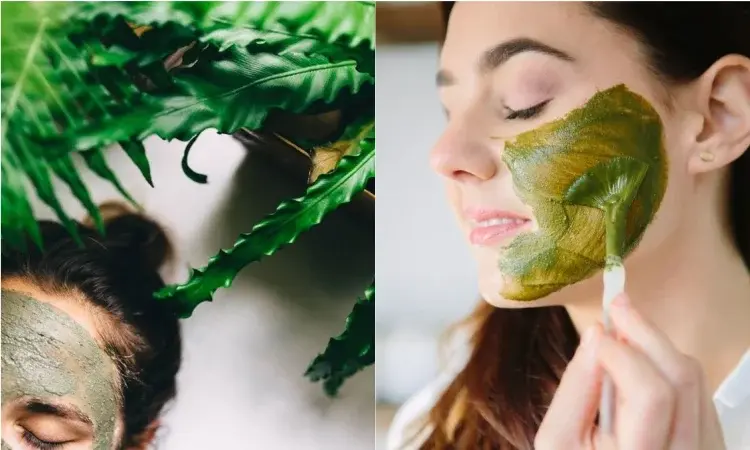 Domowa maseczka z alg morskich - naturalna recepta na piękną skórę