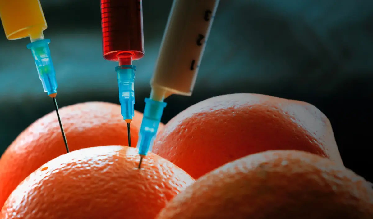 pomarańcze z wbitymi kolorowymi strzykawkami obrazujace konserwowanie zywności