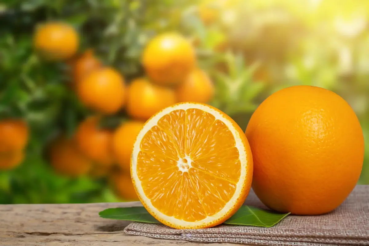 właściwości pomarańczy