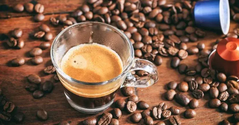 Ziarnko do ziarnka… poznaj najlepsze gatunki kawy!