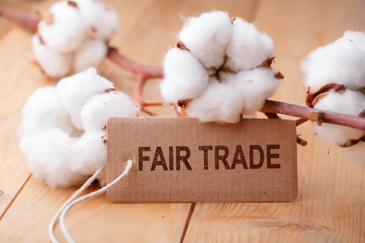Główne zdjęcie - Ubrania fair trade - uczciwe warunki pracy i odpowiedzialne materiały