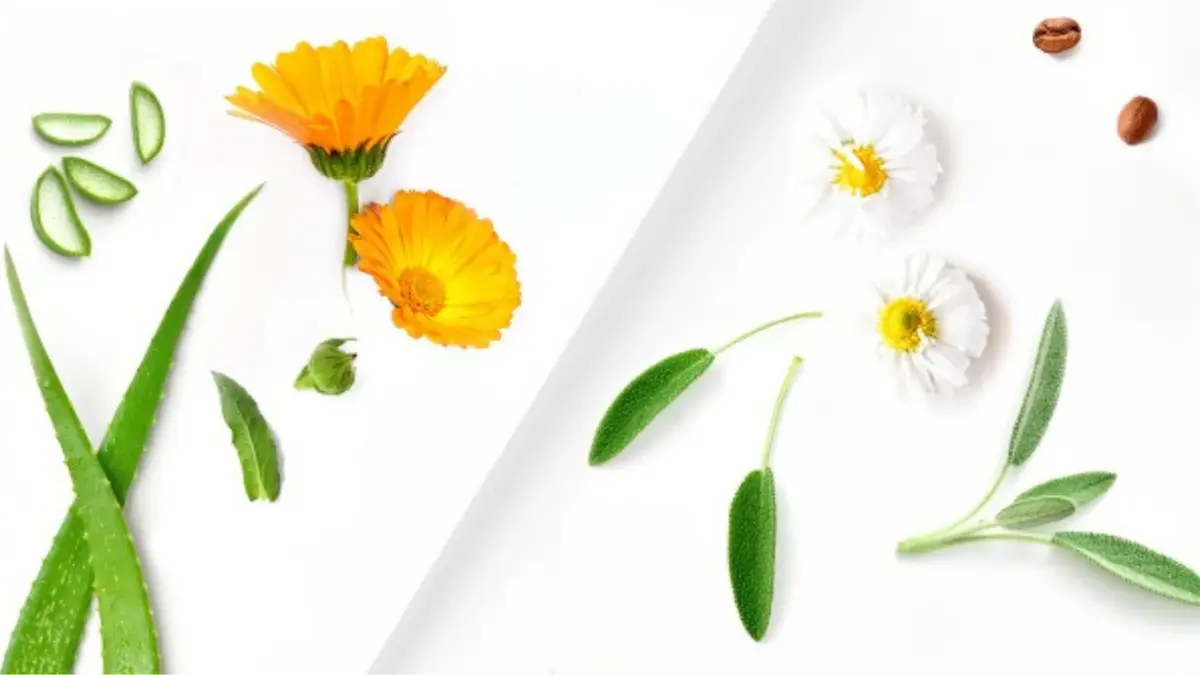 Woda kwiatowa do skóry