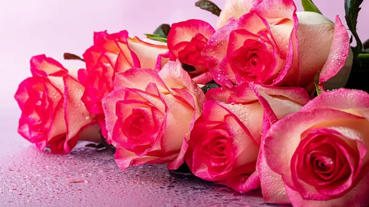 życzenia dla andrzeja