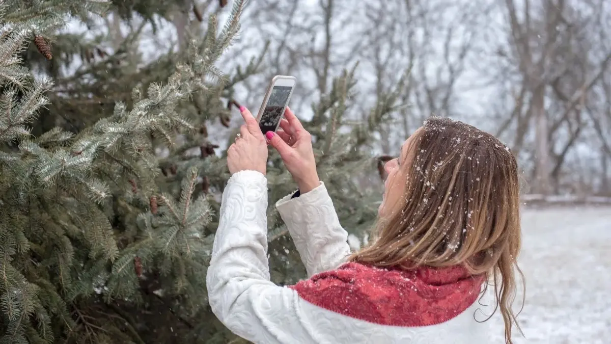 koieta robi zdjęcie choinki