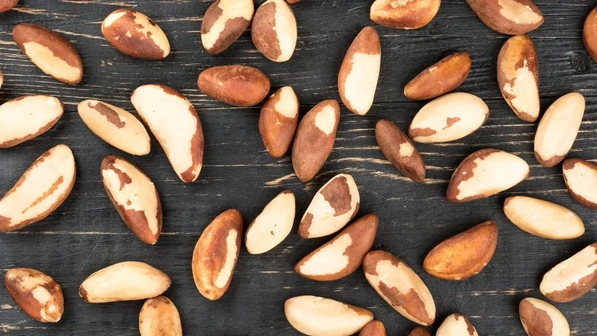 jak rosną orzechy brazylijskie