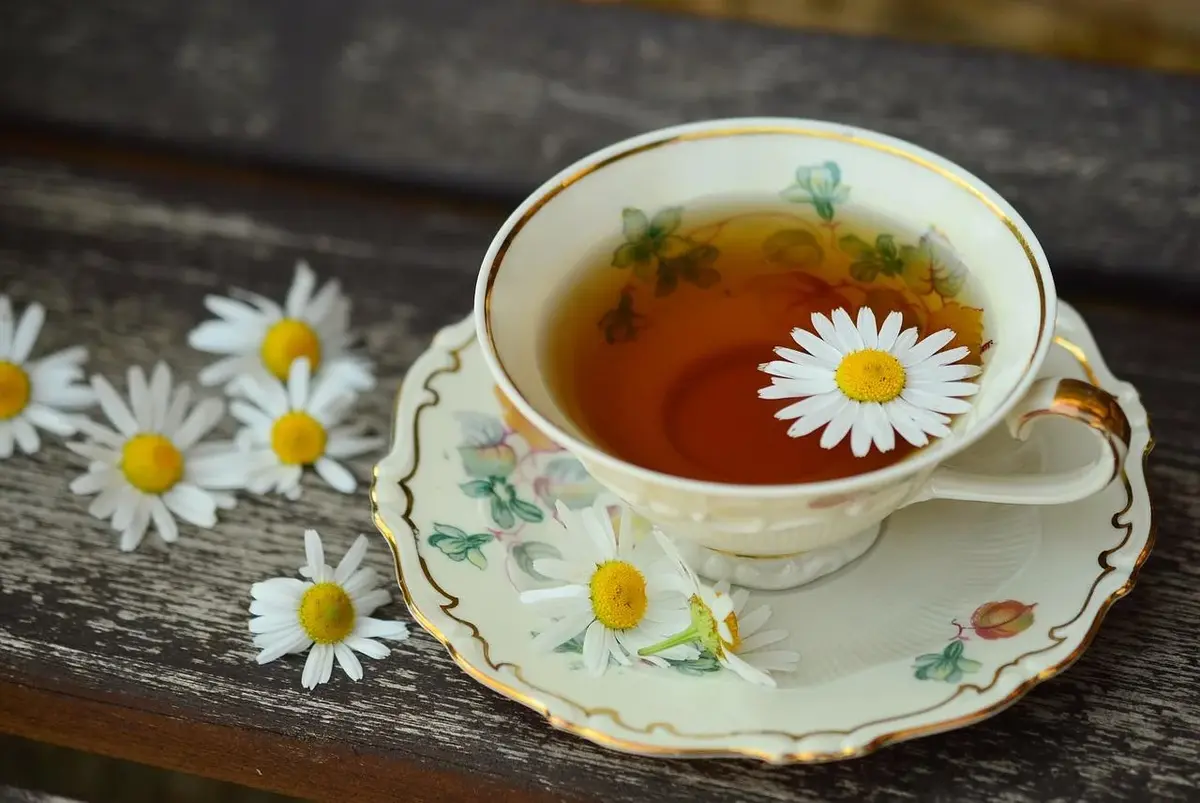 Dlaczego warto pić herbatę? Poznaj jej magiczną moc!