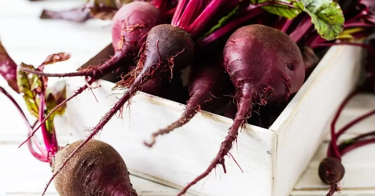 Surowe buraki w skrzynce, do przerobienia na buraczki do słoików.