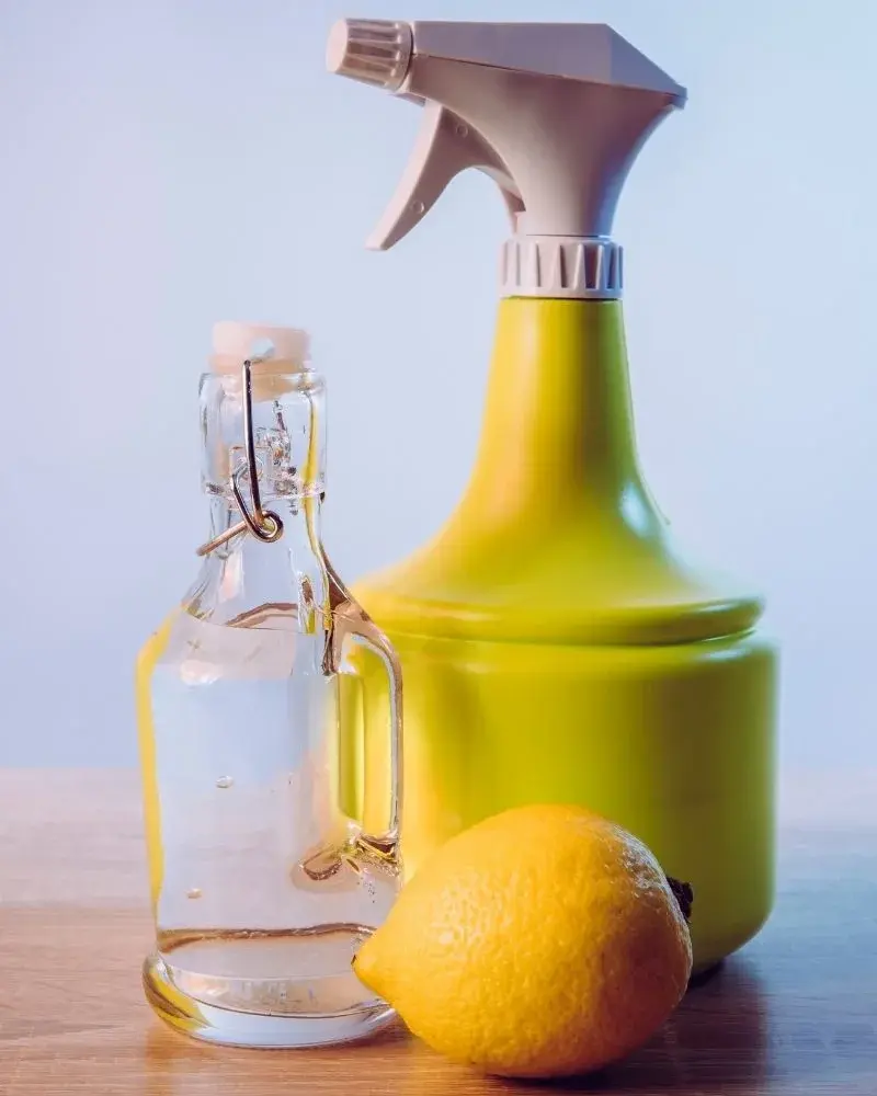 Ocet i cytryna - składniki potrzebne do przygotowania domowego płynu do mycia szyb