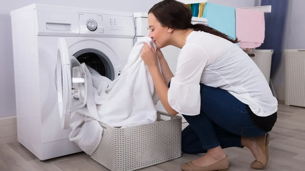 Jkonieta wąchając pranie wyciągnięte z pralki 