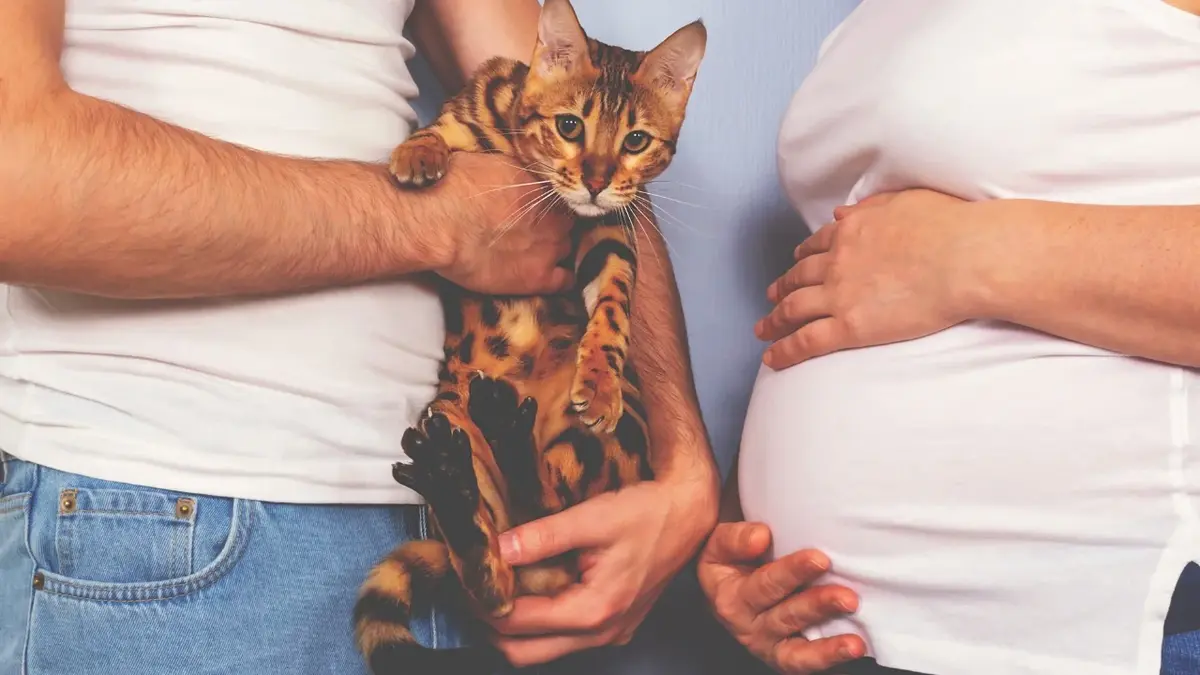 Kobita w ciąży i mężczyzna trzymający kota