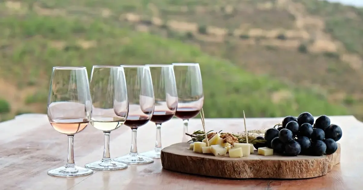 Główne zdjęcie - Degustacja wina: Podróż po bogatym świecie aromatów i smaków