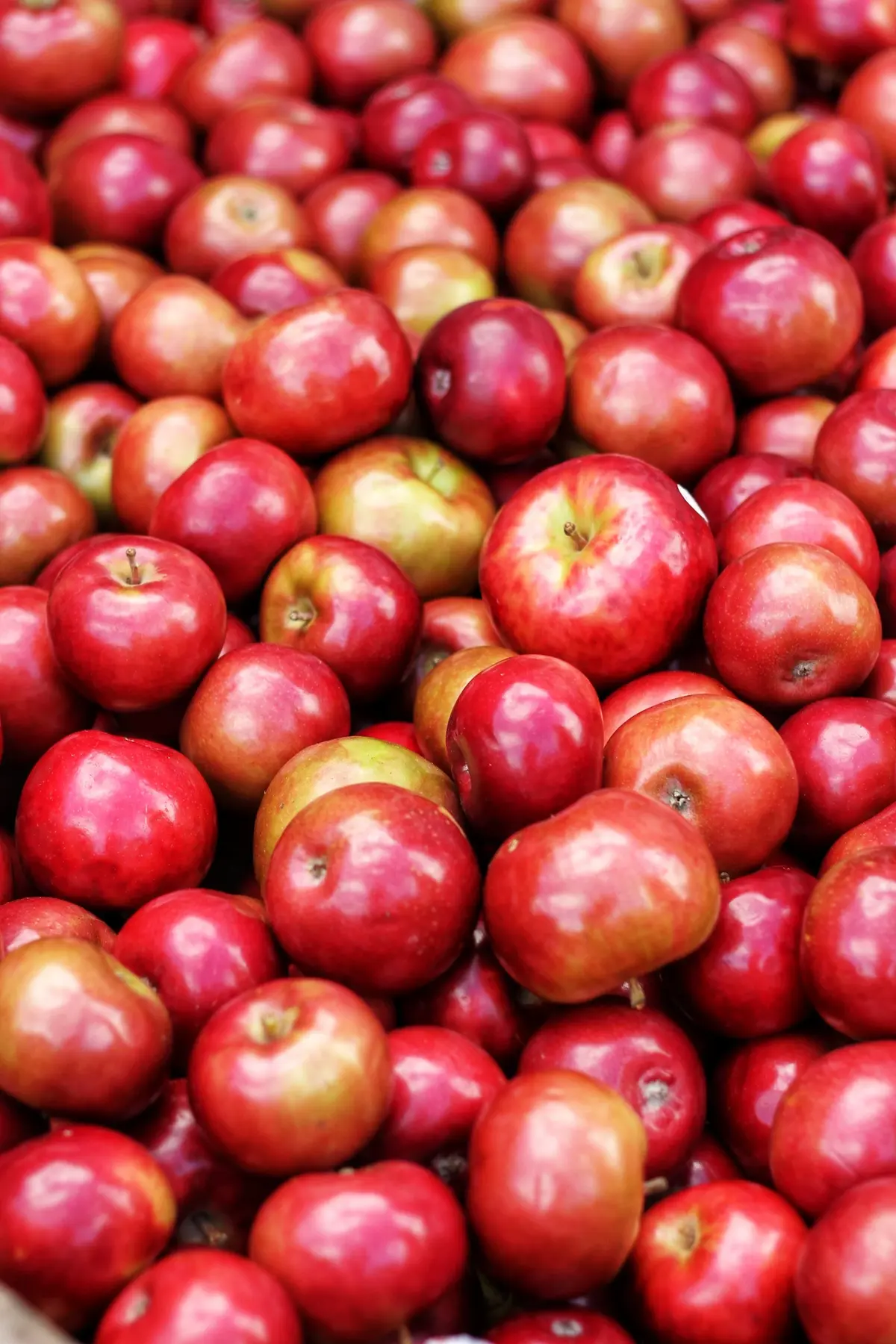 Stos czerwonych jabłek