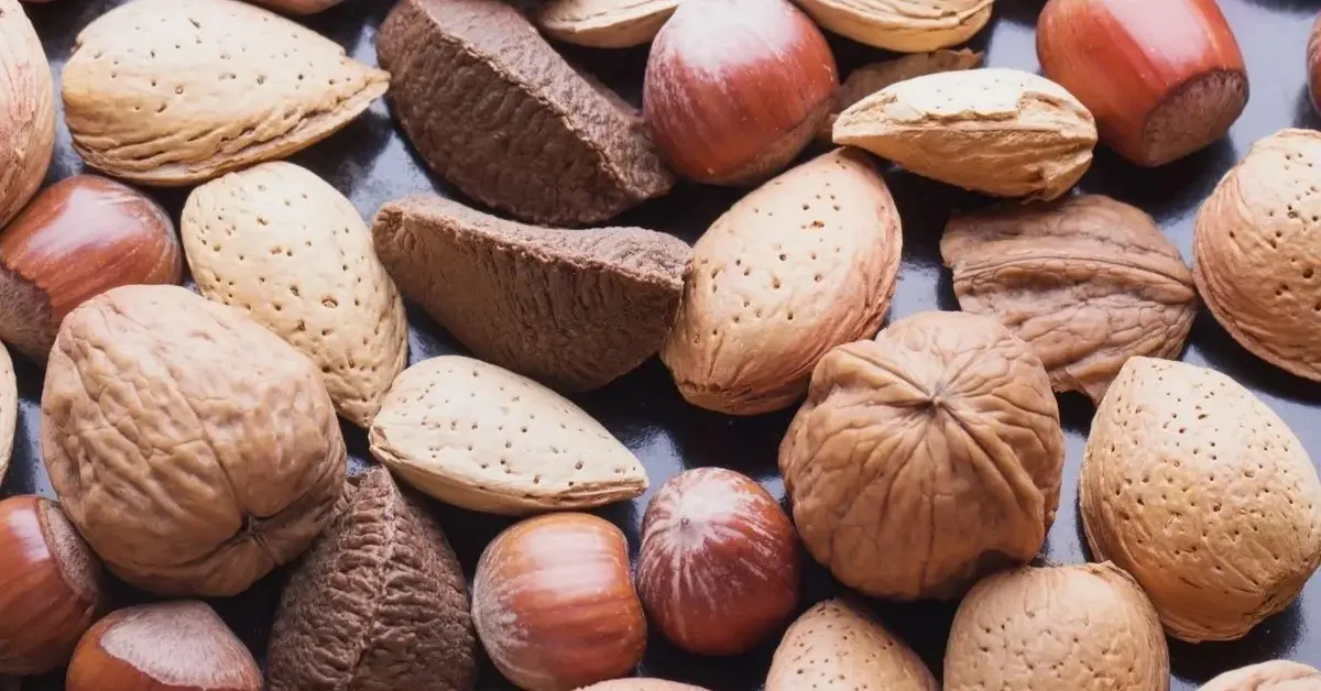 różne rodzaje orzechów w skorupach przed przechowywaniem
