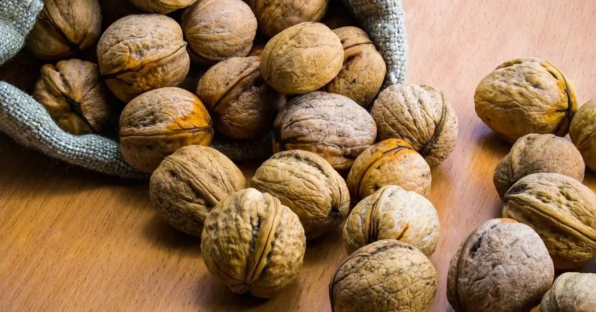 orzechy włoskie w łupinach wysypywane z worka