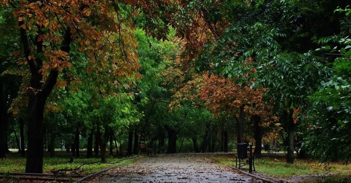 Smutny jesienny krajobraz w parku.
