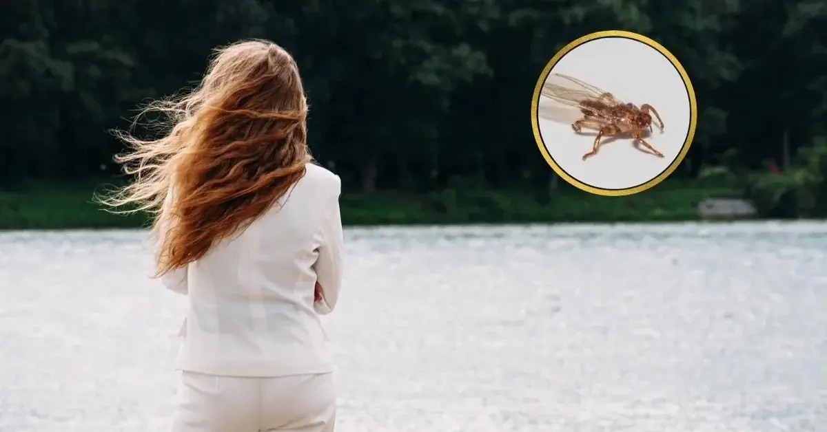 Kobieta odwrócona tyłem i zdjęcie latającego kleszcza na tle lasu.