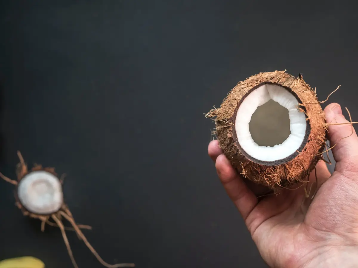kokos w dłoni