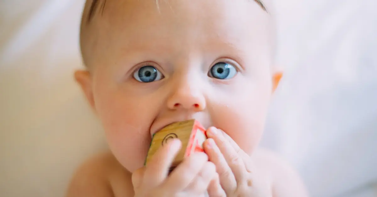 Niemowlę o błękitnych oczach wkładające rączki do buzi patrzy prosto w obiekty