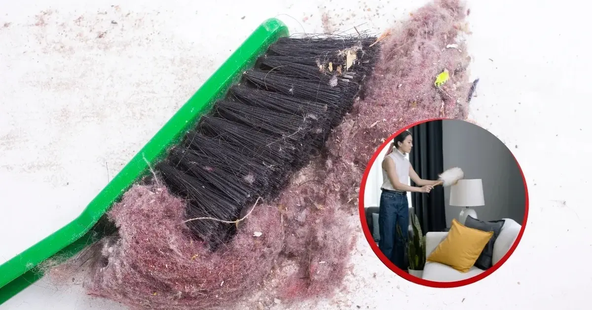 Kurz na szczotce. Kobieta ściera kurze w pokoju miotełką.