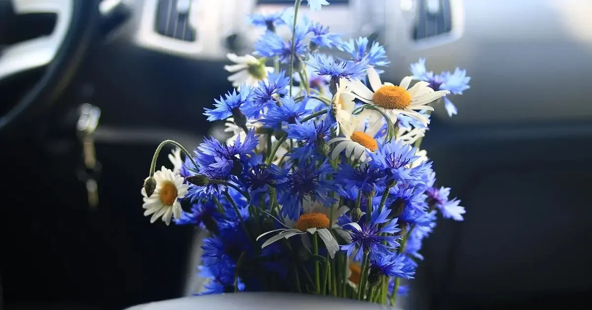 Kwiaty w aucie na imieniny Wojciecha.