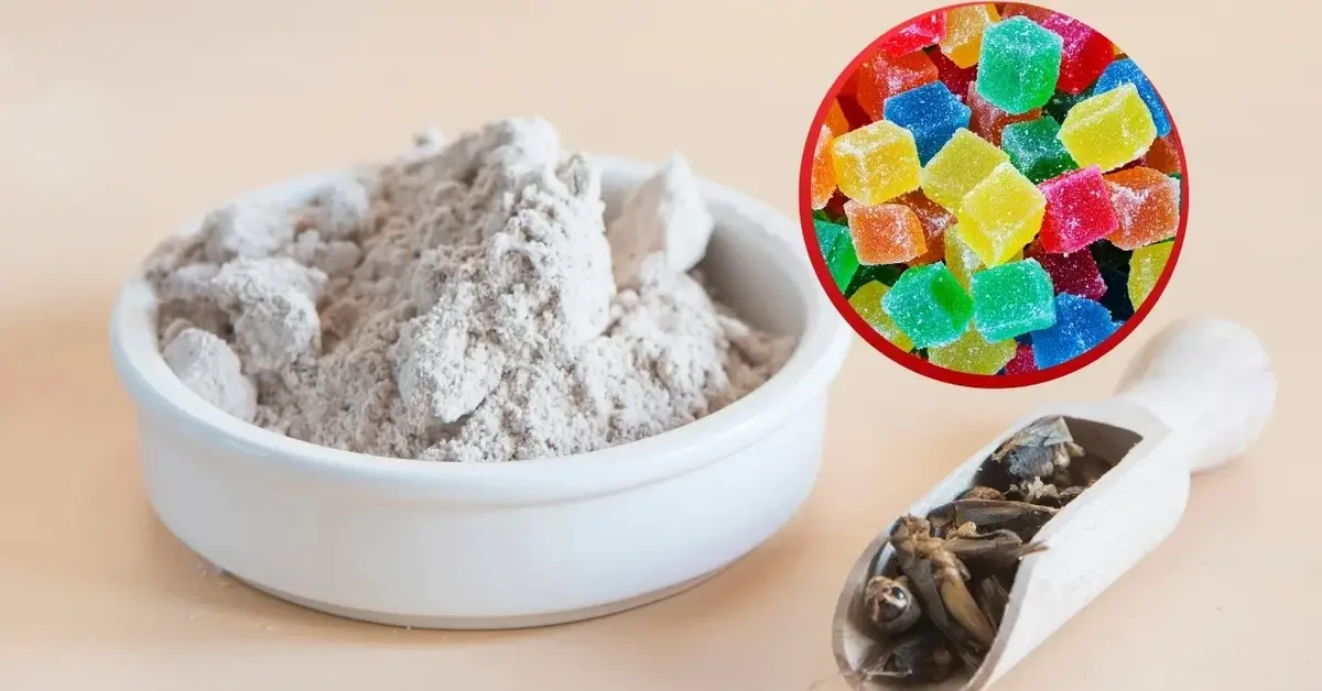 Mąka ze świerszczy i żelki barwione koszenilą.