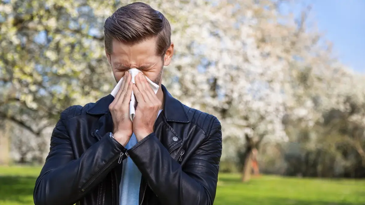 Mężczyzna otoczony kwitnącymi drzewami kicha z powodu alergii.