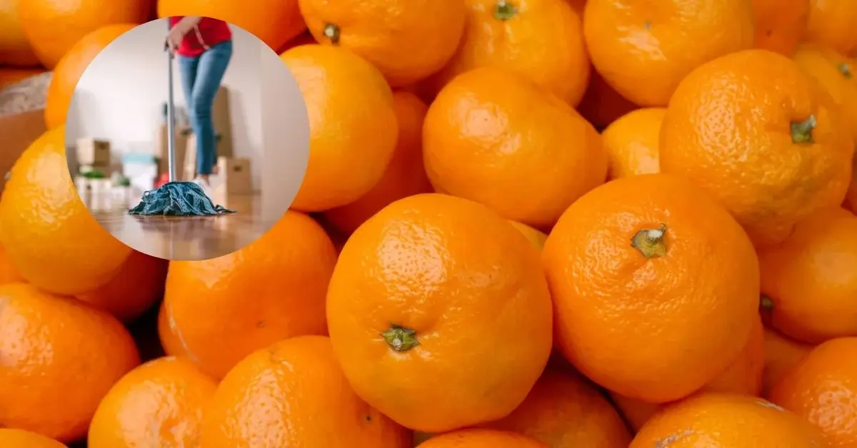 Mandarynki, z których skórek można zrobić środek do sprzątania.