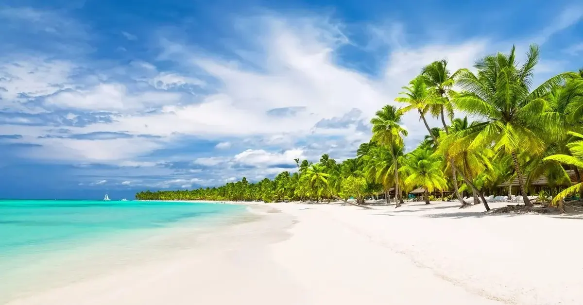 Piękna słoneczna plaża z palmami i lazurowym morzem jako najlepsze egzotyczne kierunki na urlop zimą