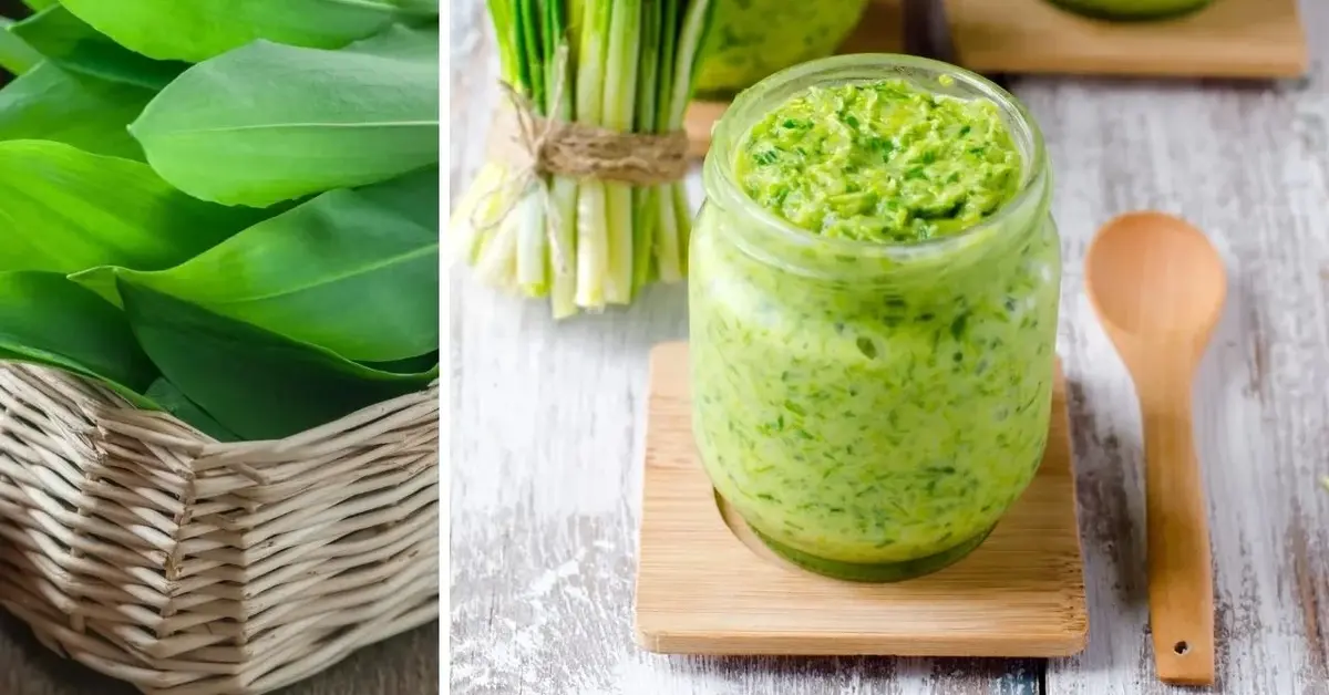 Pesto z czosnku niedźwiedziego w słoiczku, obok drewniana łyżeczka i liście czosnku w koszyku