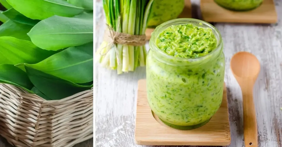Pesto z czosnku niedźwiedziego w słoiczku, obok drewniana łyżeczka i liście czosnku w koszyku
