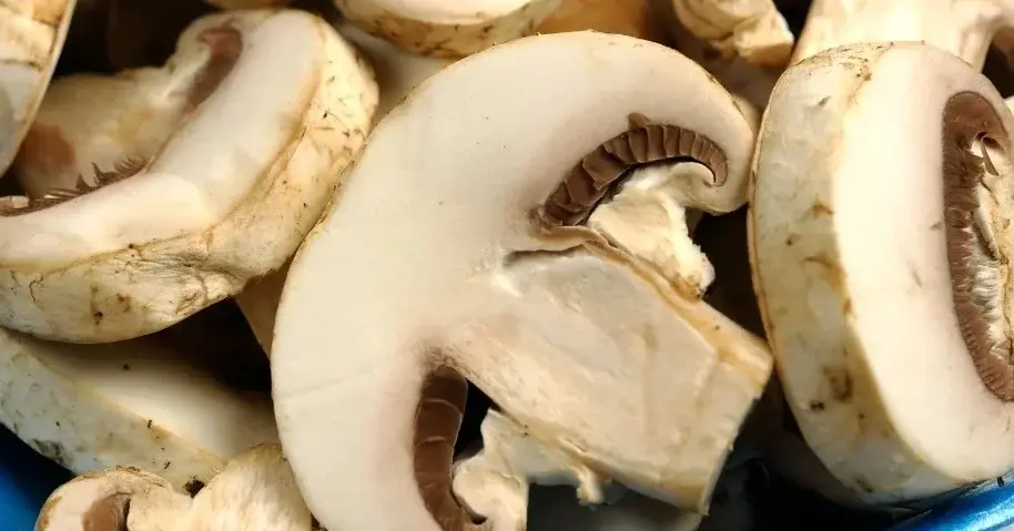Pieczarki do podsmażenia i dodania do wigilijnych uszek z grzybami i pieczarkami.