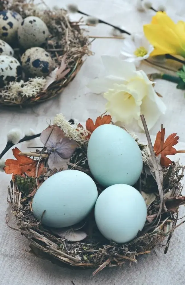 Niebieskie jajka wielkanocne w ozdobnym gnieździe.