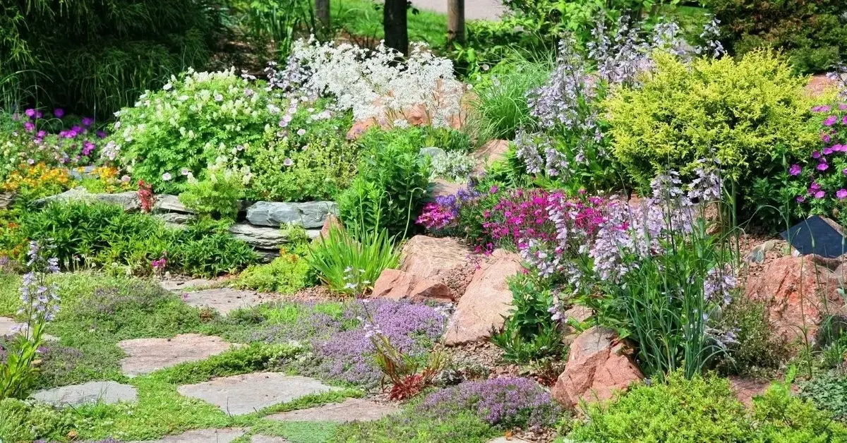 Ogród skalny z kwiatami