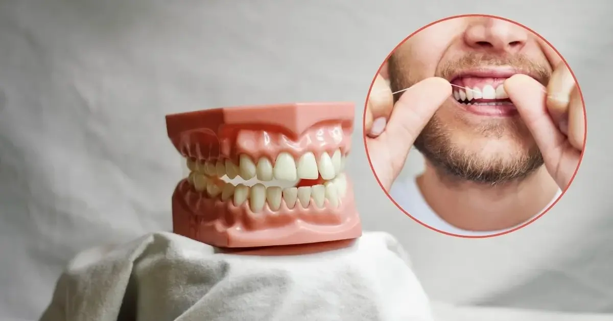 Sztuczna szczęka i nitkowanie zębów przez człowieka z kamieniem nazębnym.