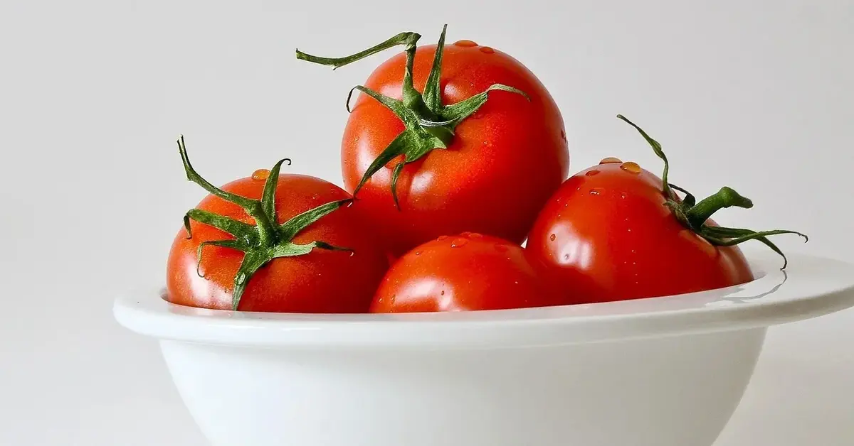 Pomidory