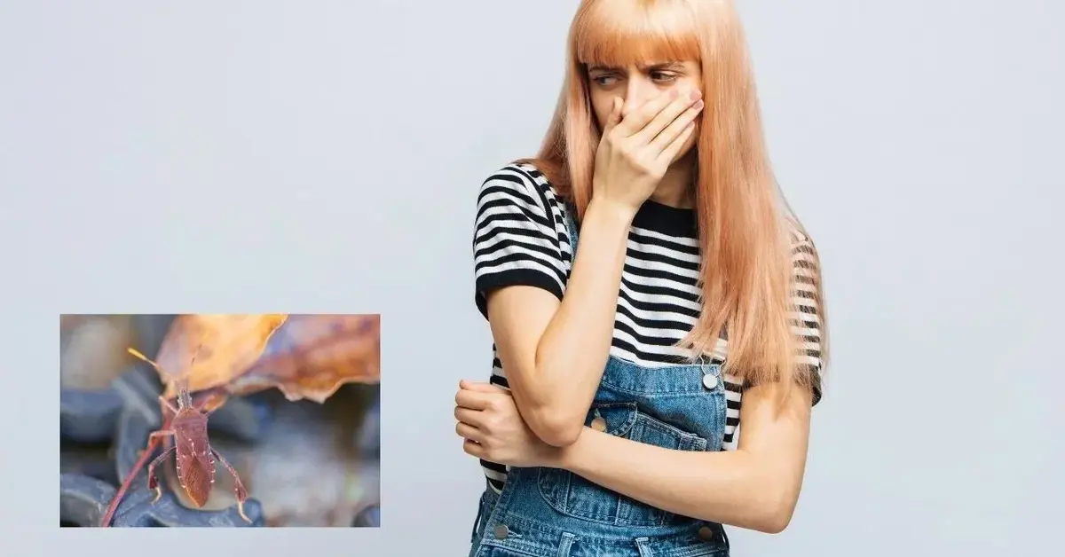 Kobieta zatyka nos bo śmierdzi, obok kobiety zdjęcie wtyka amerykańskiego.